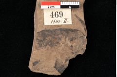 Foto (Detailansicht) von Myrica lignitum Unger (NHMW-GEO-2024-0188-0469)